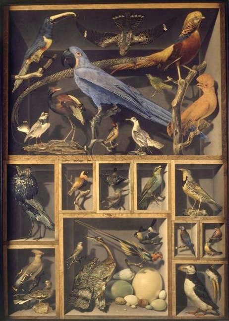 Александр-Исидор Леруа де Бард. Коллекция птиц