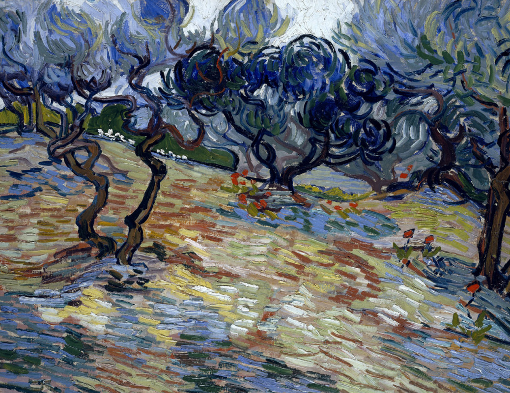 Винсент Ван Гог. Оливковые деревья: ярко-голубое небо