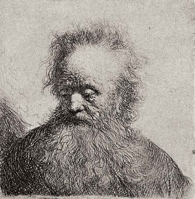 Рембрандт Харменс ван Рейн. Голова старика с длинной бородой, глядящего в сторону