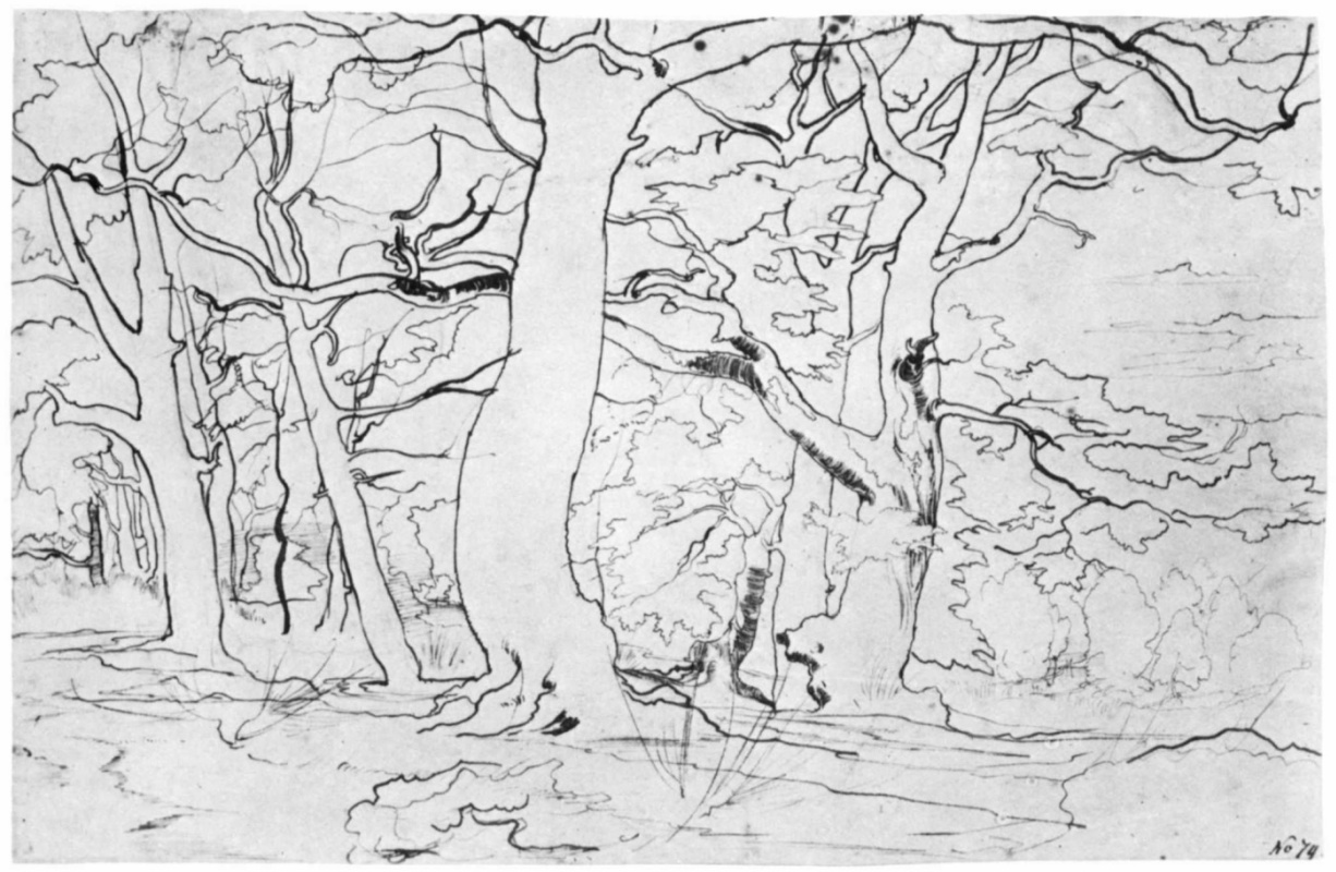 Франц Теобальд Хорни. Лесной пейзаж с большими сучковатыми деревьями