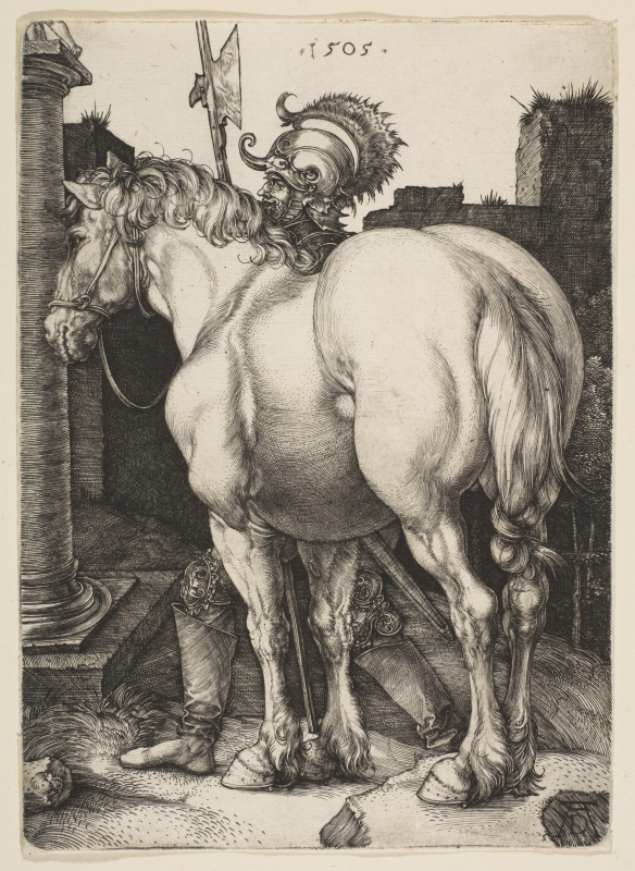 Альбрехт Дюрер. Большая лошадь