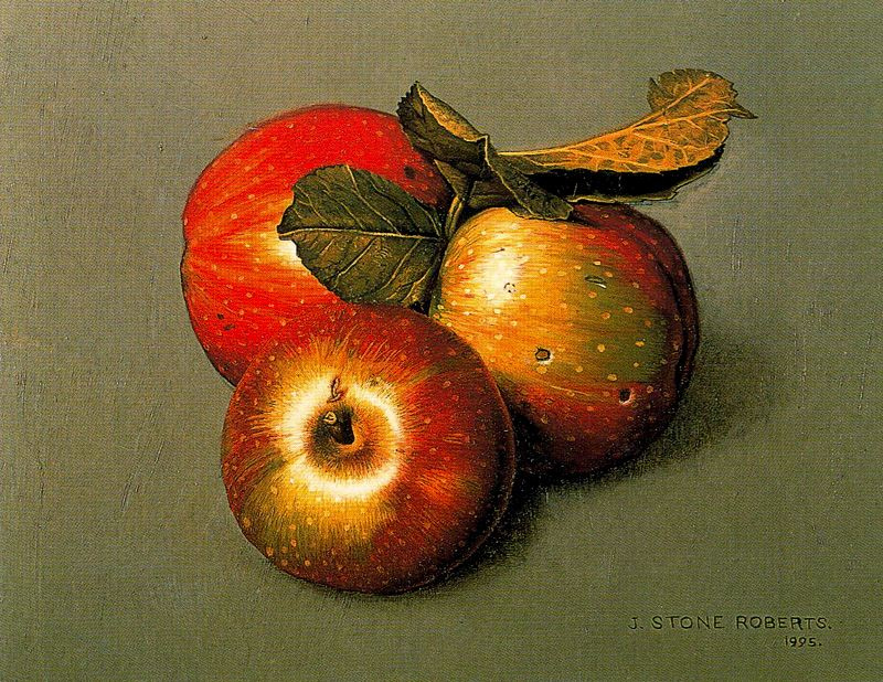 Стоун Робертс. Спелые яблоки