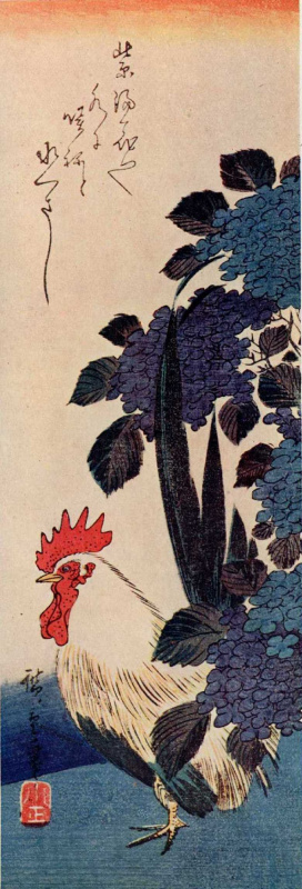 Утагава Хиросигэ. Петух и гортензия. Серия "Птицы и цветы"