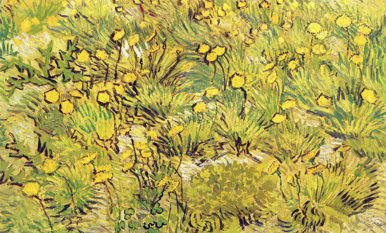 Винсент Ван Гог. Поле с желтыми цветами