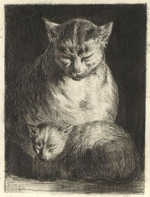 Жан-Жак де Буассье. Кошка с котенком