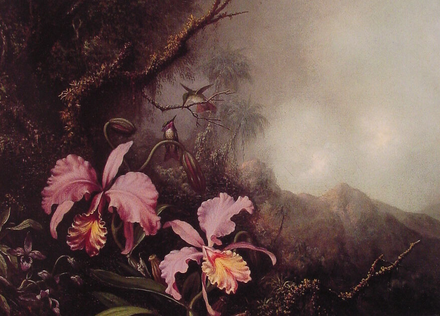 Мартин Джонсон Хед. Две орхидеи и колибри на фоне гор