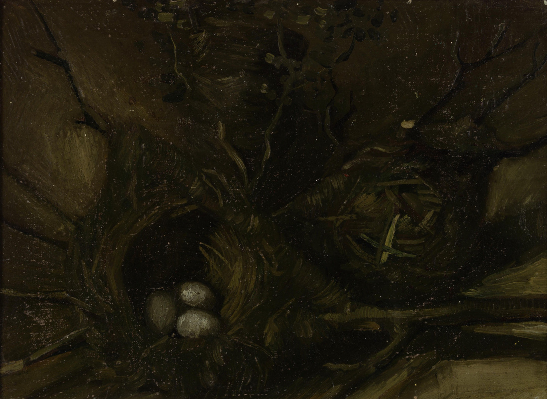 Винсент Ван Гог. Птичьи гнезда