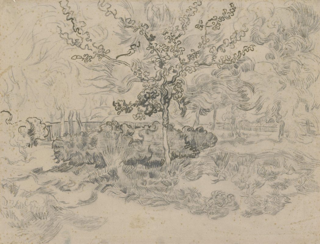 Винсент Ван Гог. Деревья в больничном саду