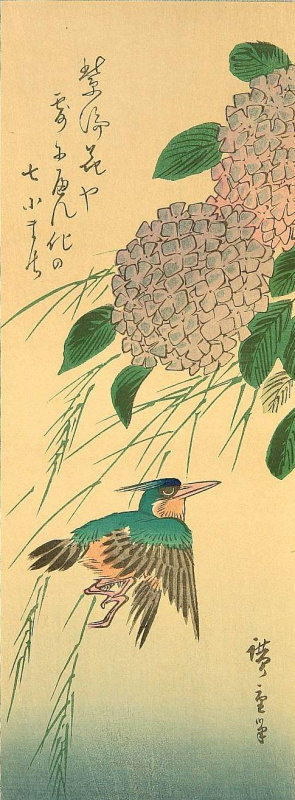 Утагава Хиросигэ. Зимородок и гортензия. Серия "Птицы и цветы"