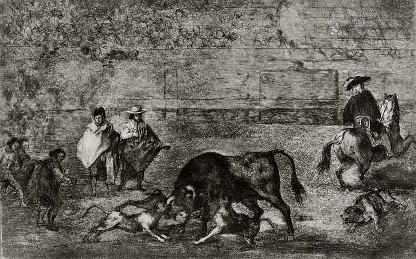 Франсиско Гойя. Серия Тавромахия, лист С: Собаки набрасываются на быка