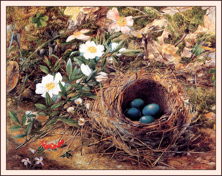 Джон Уильям Хилл. Птичье гнездо и шиповник
