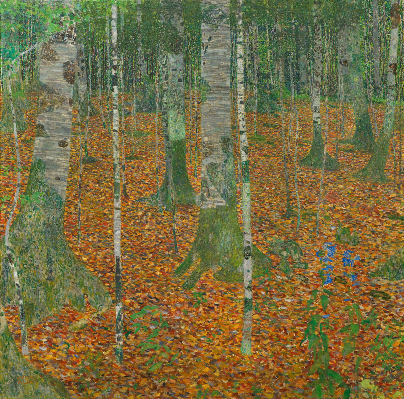 Густав Климт. Березовый лес