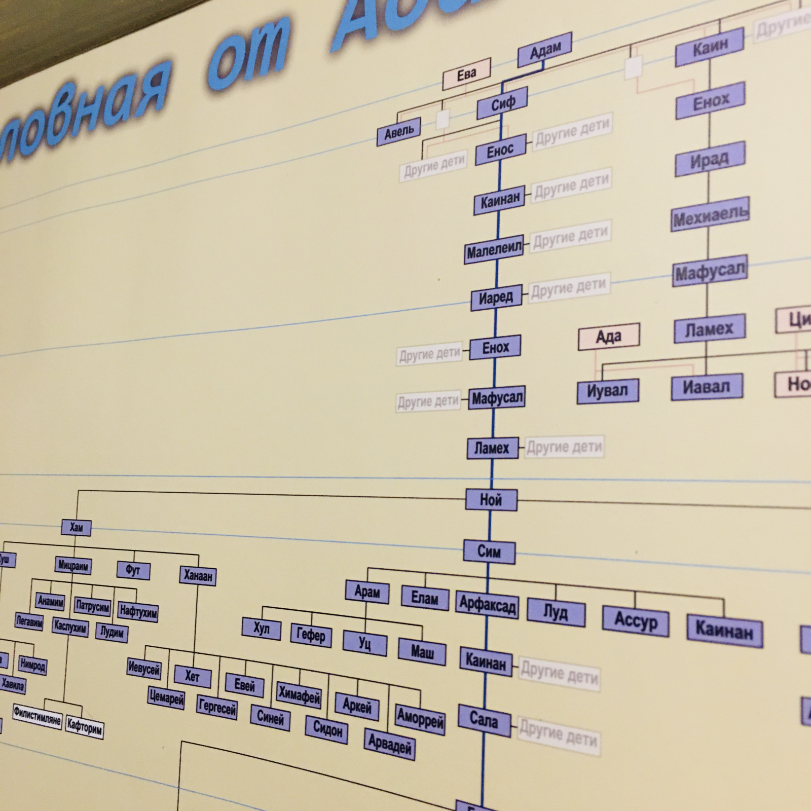 Генеалогическое древо от Адама и Евы до Иисуса Христа