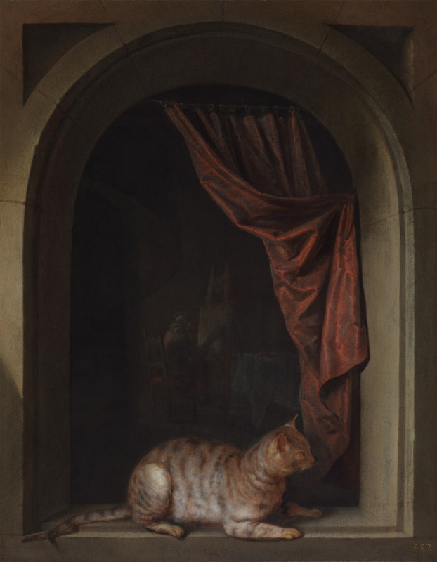 Геррит (Герард) Доу. Кошка, лежащая на подоконнике мастерской художника