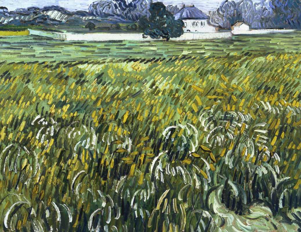 Винсент Ван Гог. Поле пшеницы и белый дом в Авьере