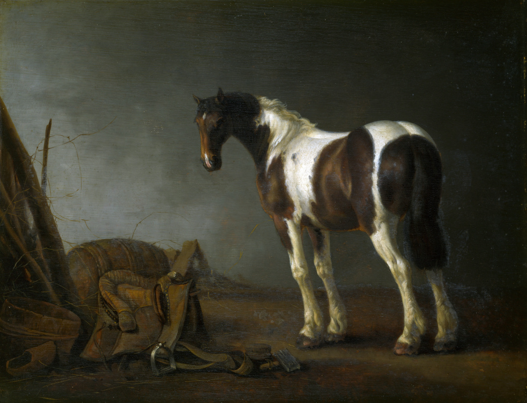 Абрахам ван Калрает. Лошадь с седлом рядом