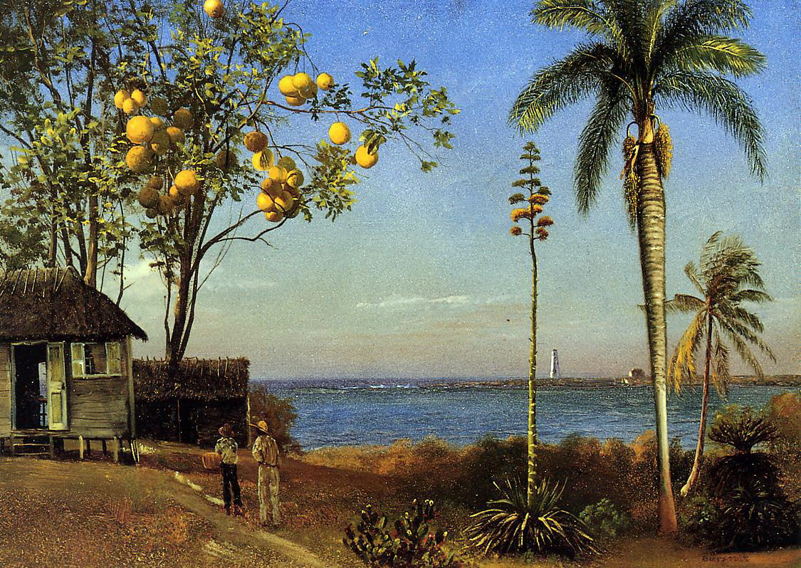 Альберт Бирштадт. Вид на Багамах