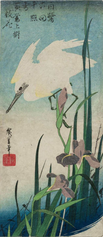 Утагава Хиросигэ. Белая цапля и ирисы. Серия "Птицы и цветы"