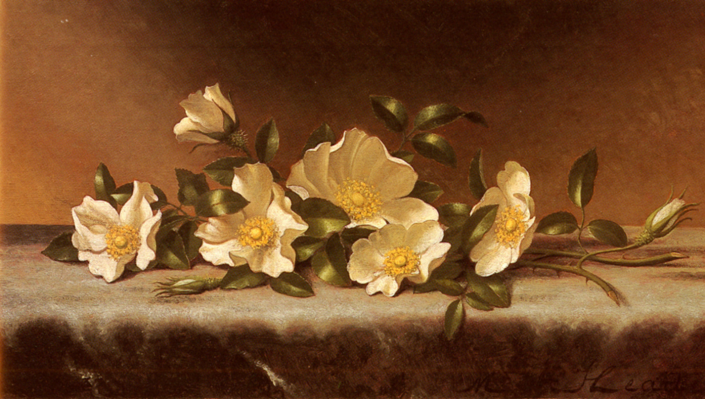 Мартин Джонсон Хед. Розы чероки на светло-серой ткани