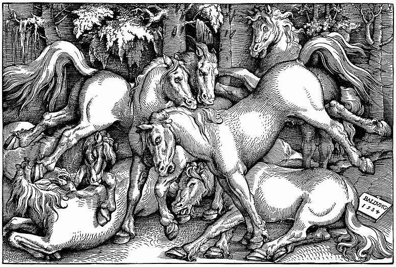 Ханс Бальдунг. Дерущиеся жеребцы среди диких лошадей в лесу