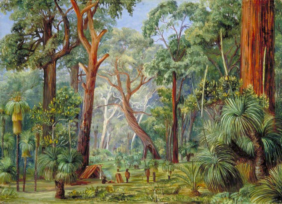 Марианна Норт. Аборигены в лесу Западной Австралии