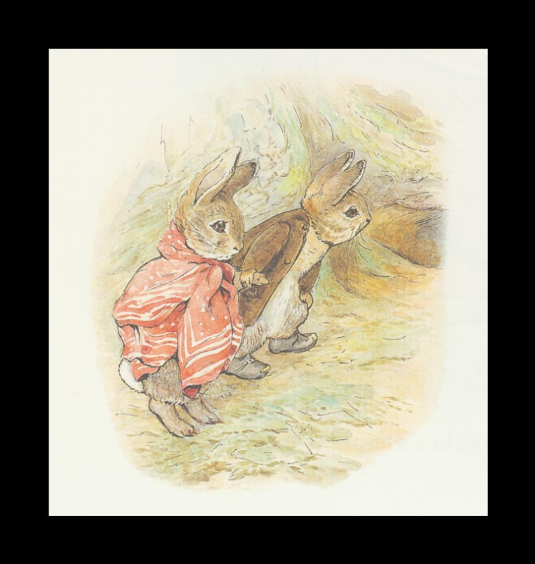 Бенджамин и Кролик Питер Банни. Сказка о кролике Питере 13