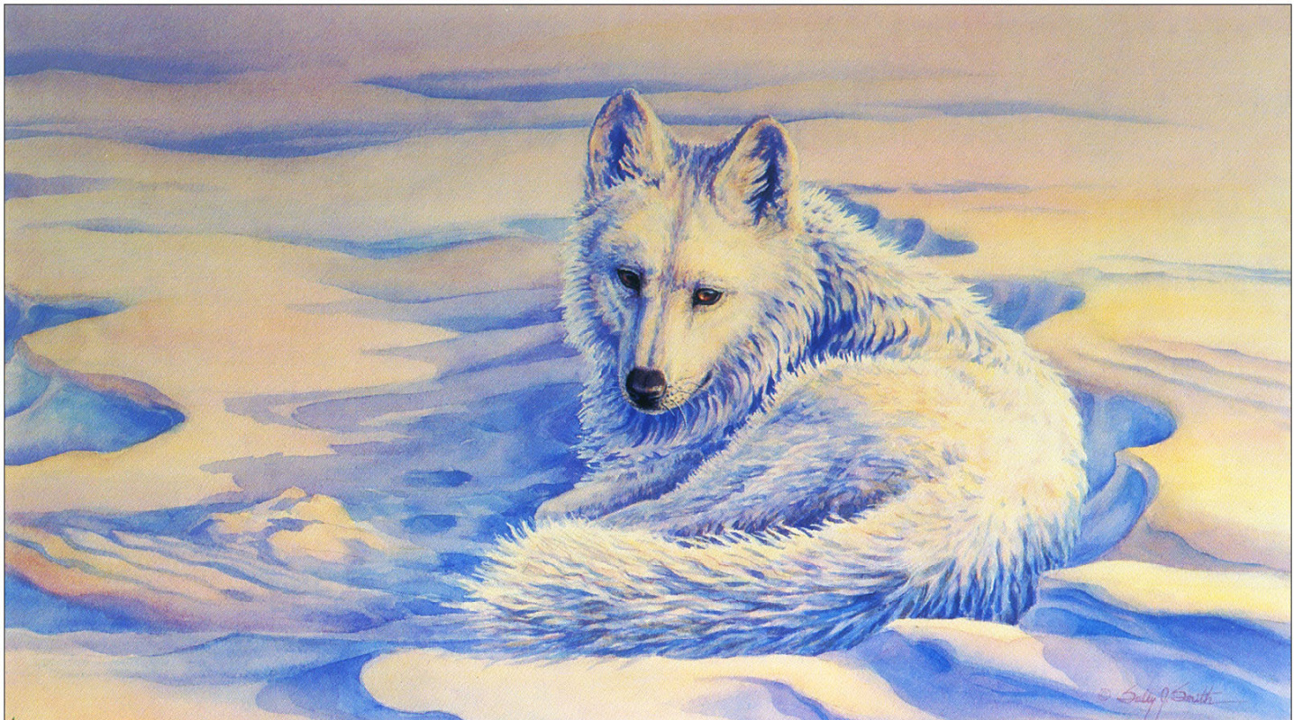 Салли Дж. Смит. Арктический волк