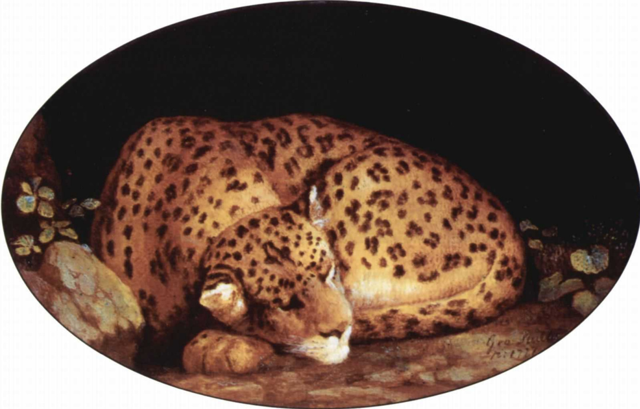 Джордж Стаббс. Спящий леопард