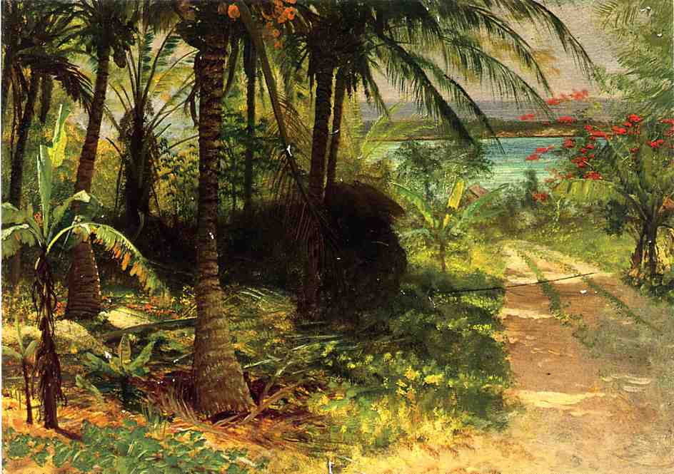 Тропический пейзаж