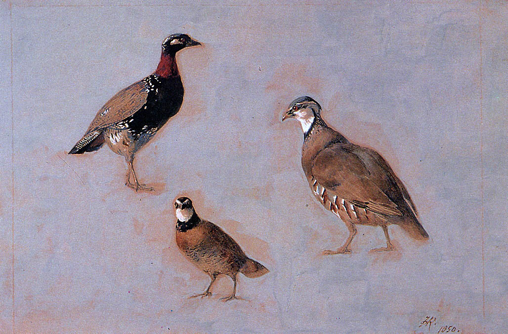 Генриетта Роннер-Книп. Три птицы