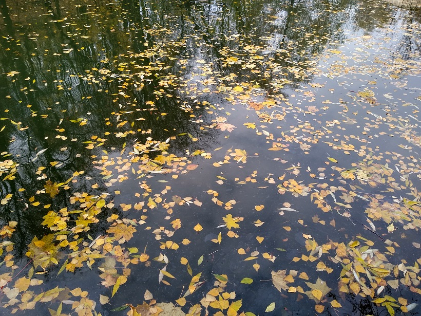 Наталья Гарбер. Река