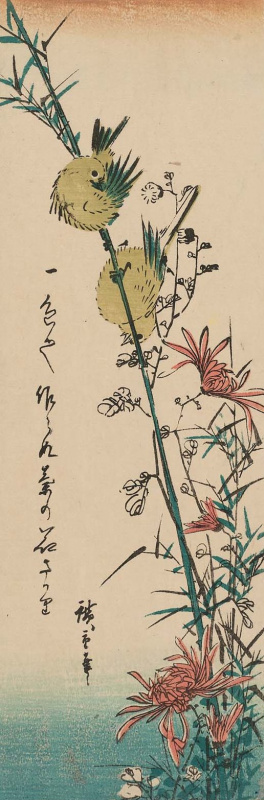 Утагава Хиросигэ. Пара японских белоглазок и дикая хризантема. Серия "Птицы и цветы"