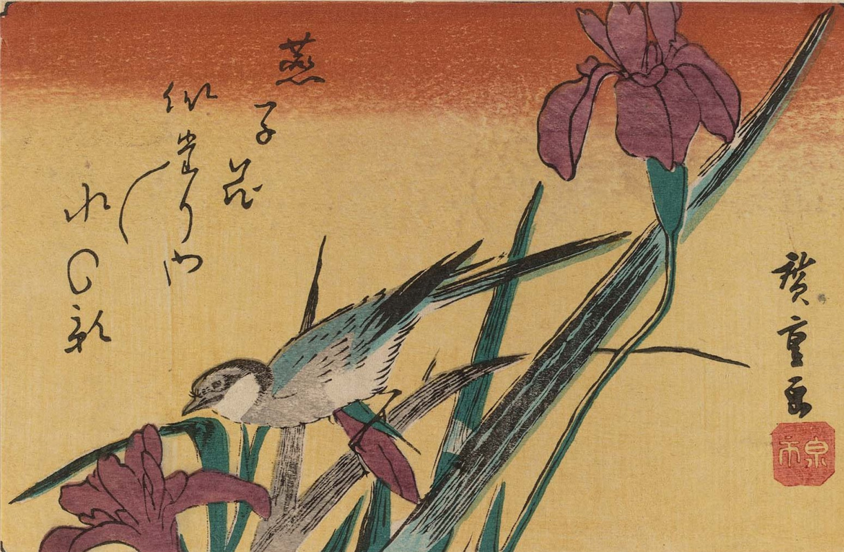 Утагава Хиросигэ. Трясогузка и ирисы. Серия "Птицы и цветы"