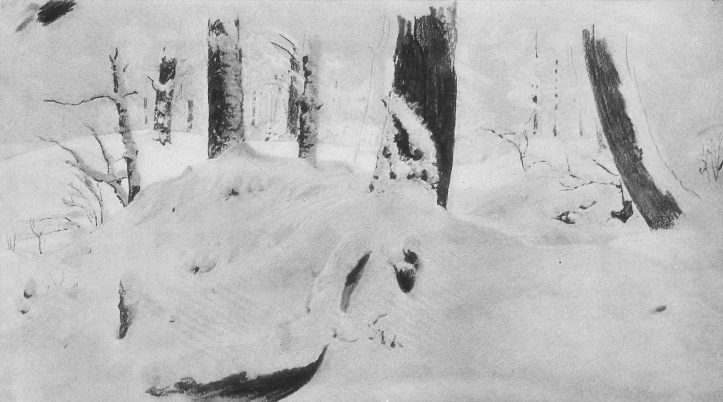 Иван Иванович Шишкин. Лес под снегом