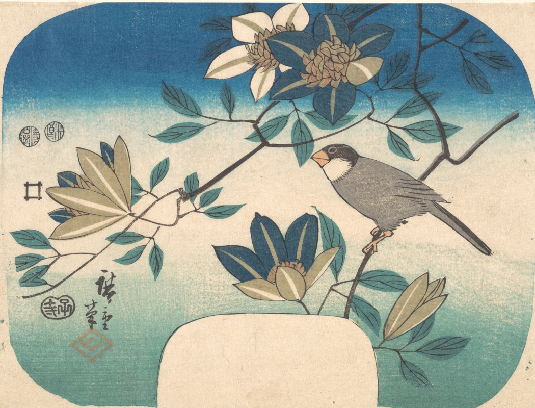 Утагава Хиросигэ. Птица на ветке цветущего клематиса