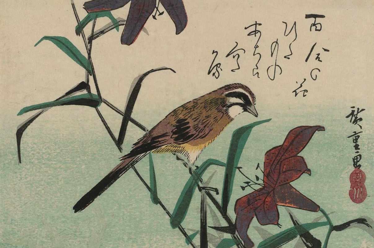 Утагава Хиросигэ. Овсянка и лилия. Серия "Птицы и цветы"
