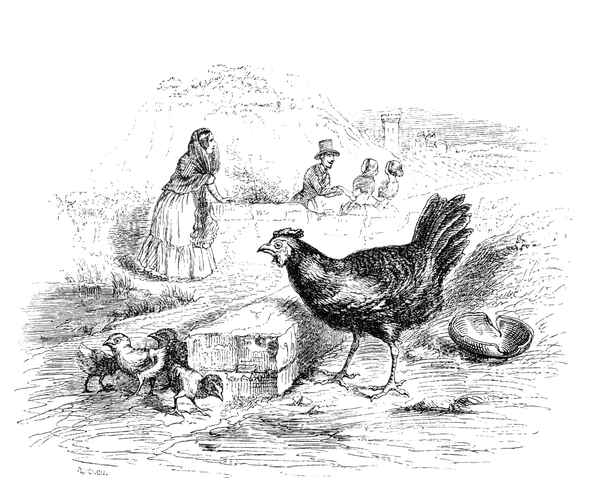 Get Sprueche ueber huehner Desktop Wallpaper Free Sprueche Ueber Huehner