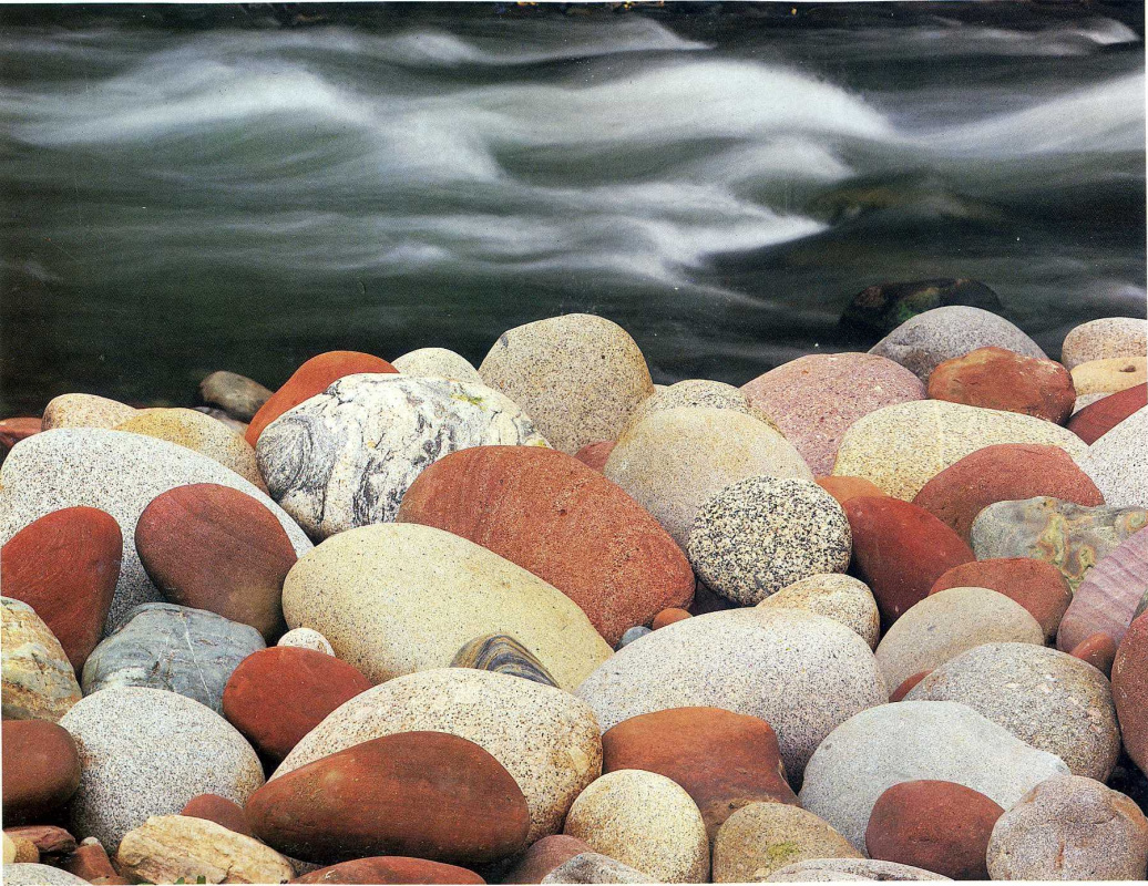 Дэвид Мюнх. Морские камни