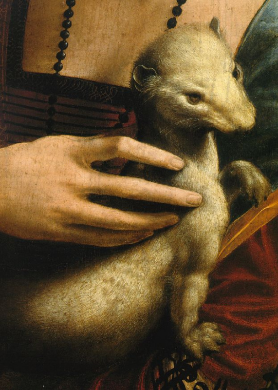 Леонардо да Винчи. Дама с горностаем (фрагмент)