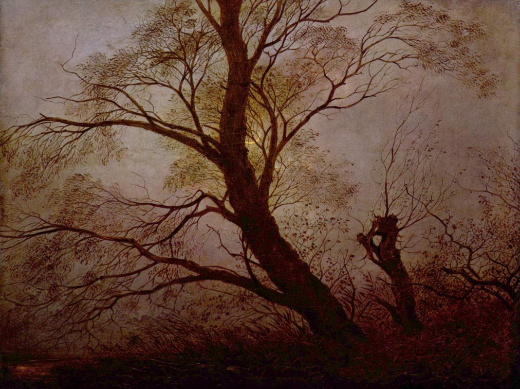 Каспар Давид Фридрих. Деревья в лунном свете