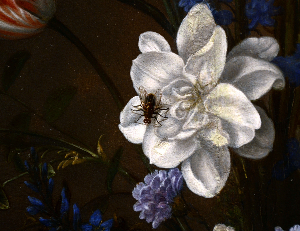 Балтазар ван дер Аст. Цветы в вазе Ван-Ли и раковины. Фрагмент: муха на цветке