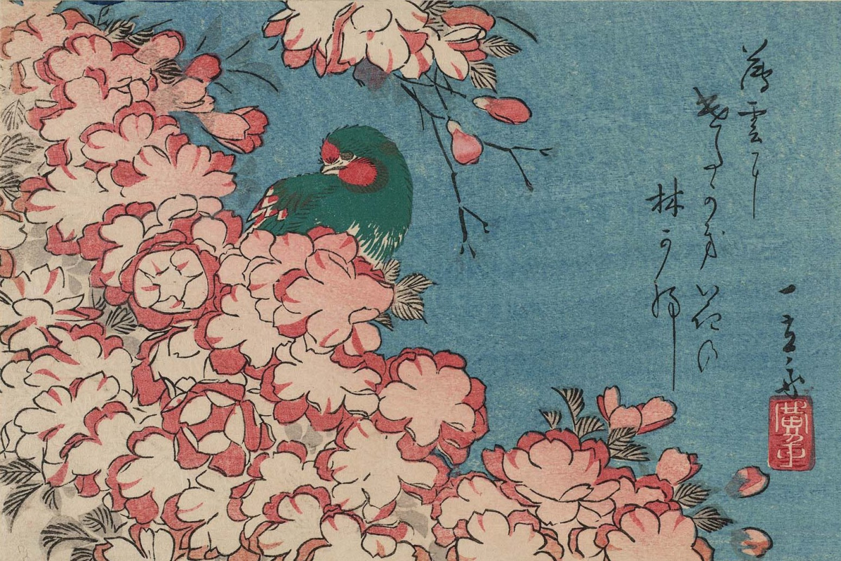 Утагава Хиросигэ. Зеленая птица в цветах вишневого дерева