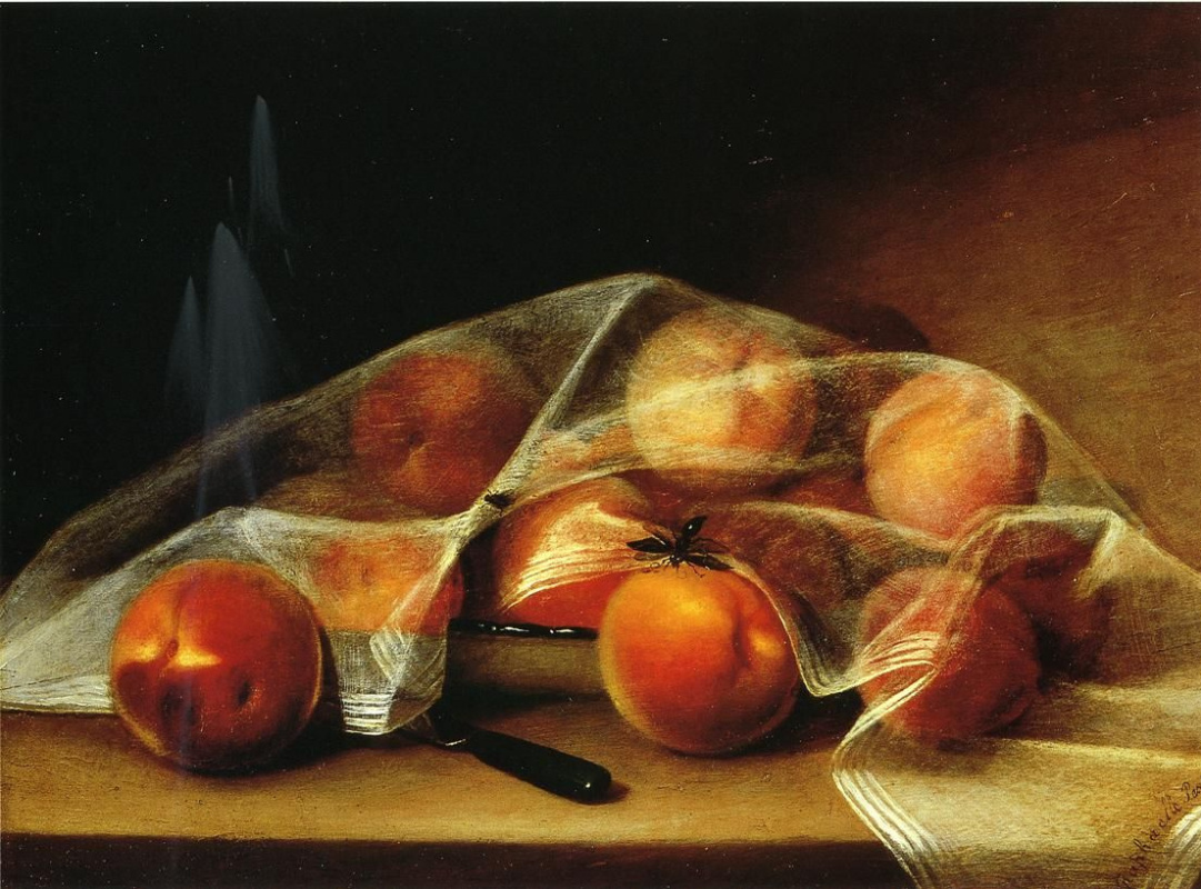 Рафаэль Пил. Накрытые персики