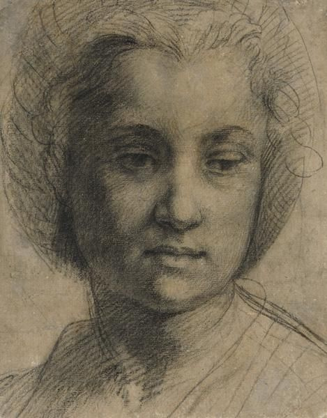 Андреа дель Сарто. Голова молодой женщины
