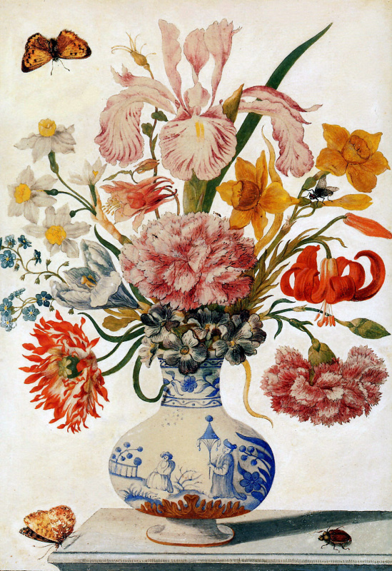 Мария Сибилла Мериан. Цветочный натюрморт в китайской вазе
