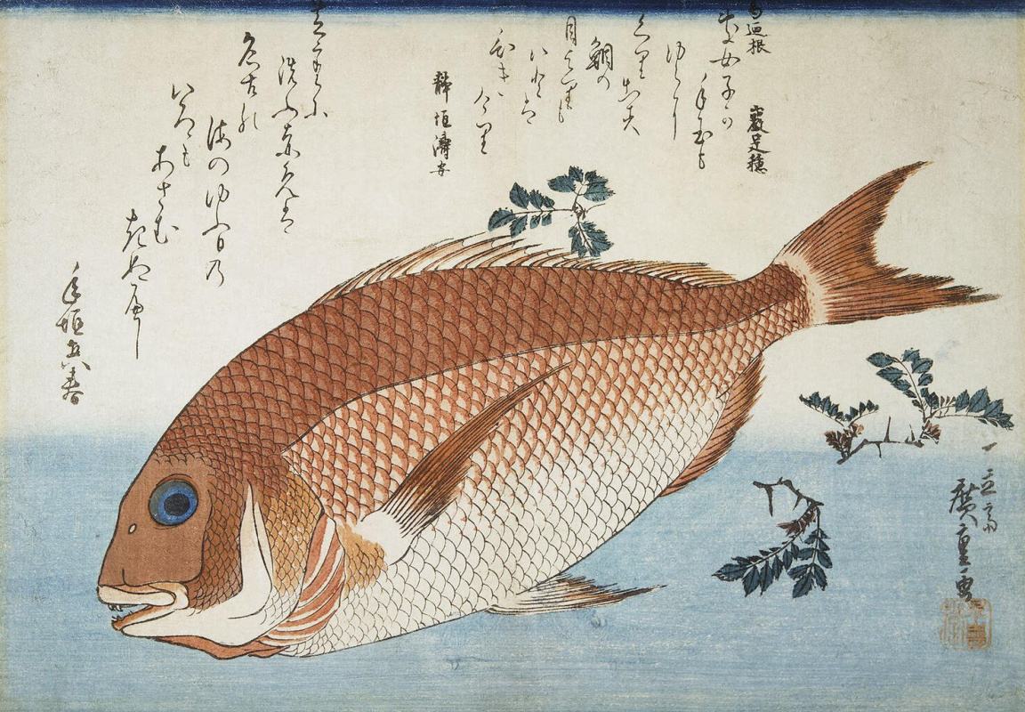 Утагава Хиросигэ. Красный морской лещ и листья перца саншо. Серия "Рыбы"