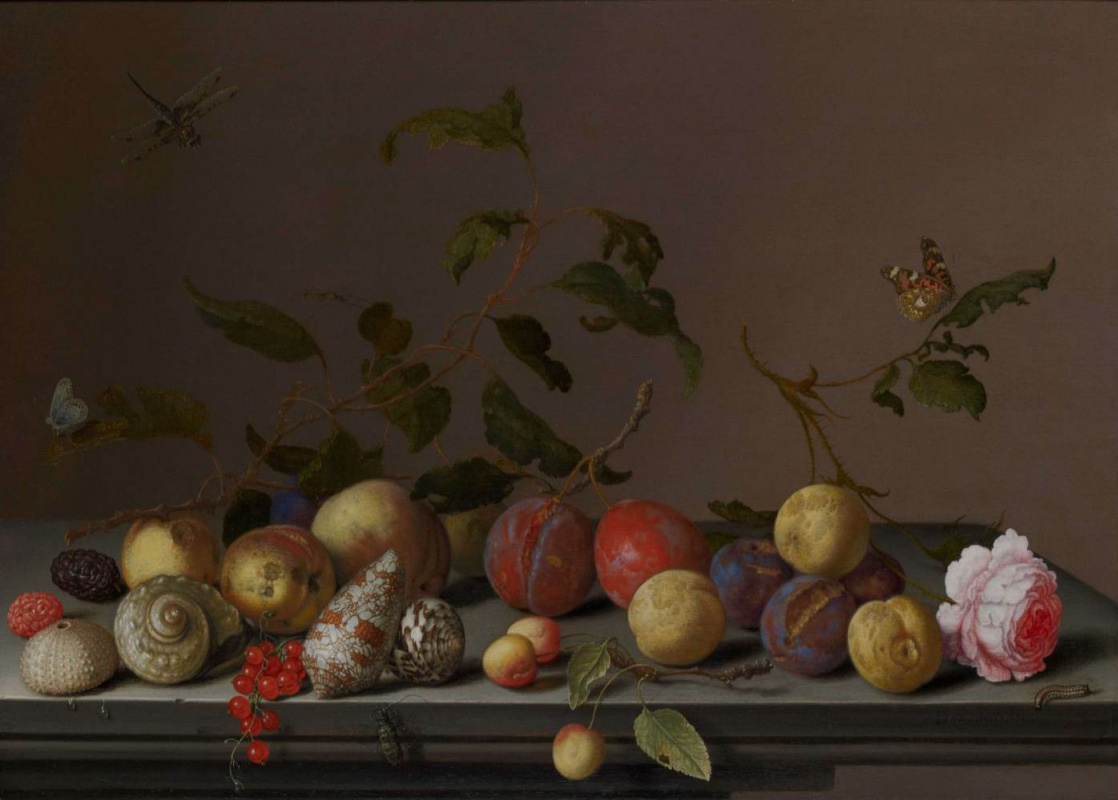 Балтазар ван дер Аст. Натюрморт с фруктами, раковинами и розой на столе