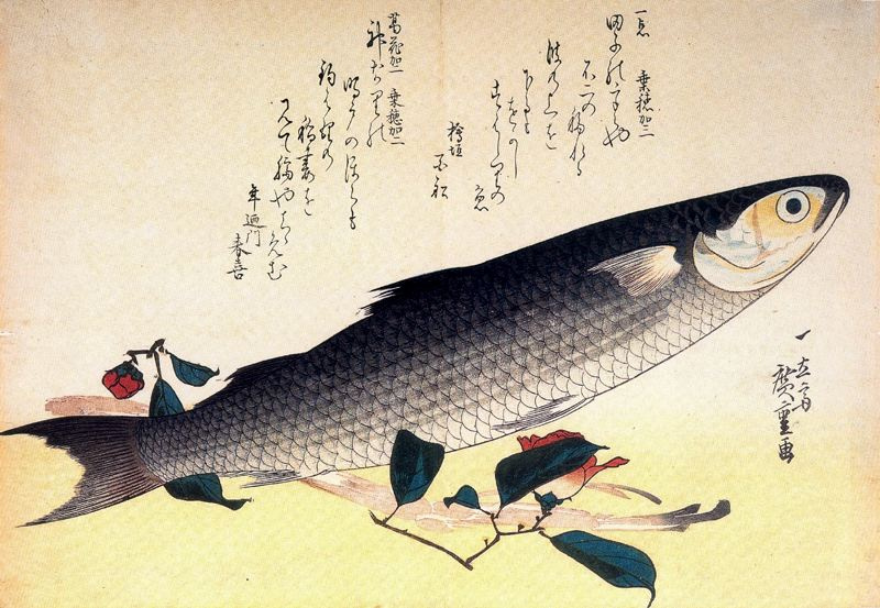 Утагава Хиросигэ. Кефаль, спаржа и камелия. Серия "Рыбы"
