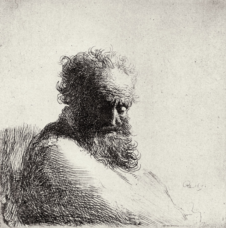Рембрандт Харменс ван Рейн. Голова старика с длинной бородой