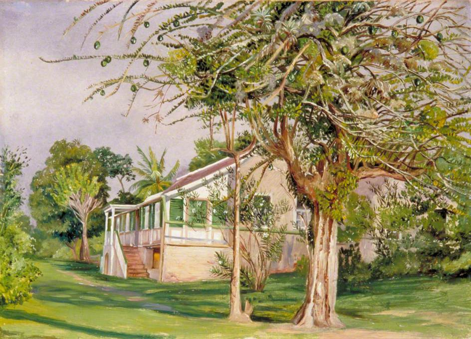 Марианна Норт. Пейзаж на Ямайке